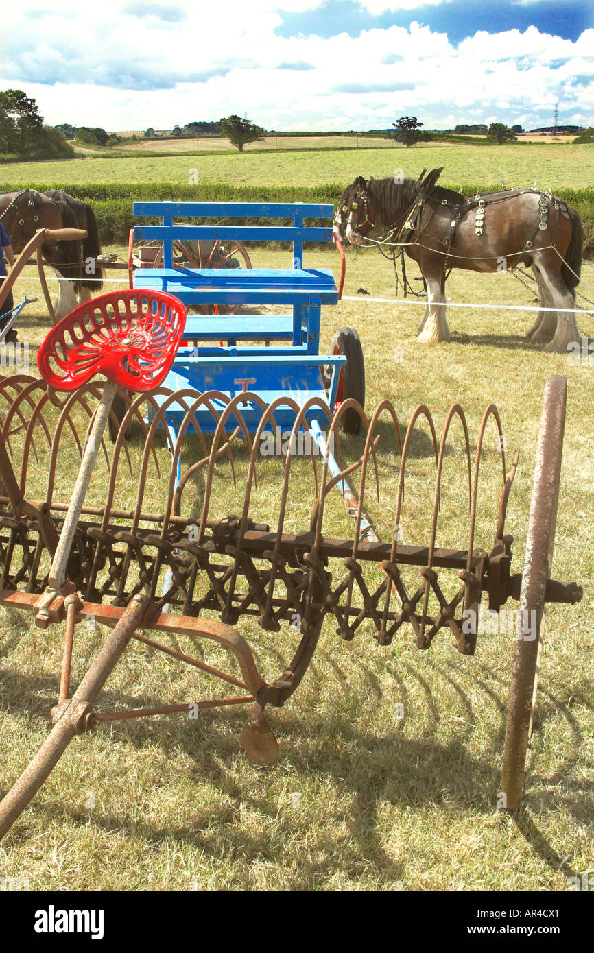 Due shire cavalli e una sezione di un vecchio cavallo vomere di un aratro di acciaio può essere visto in primo piano Foto Stock