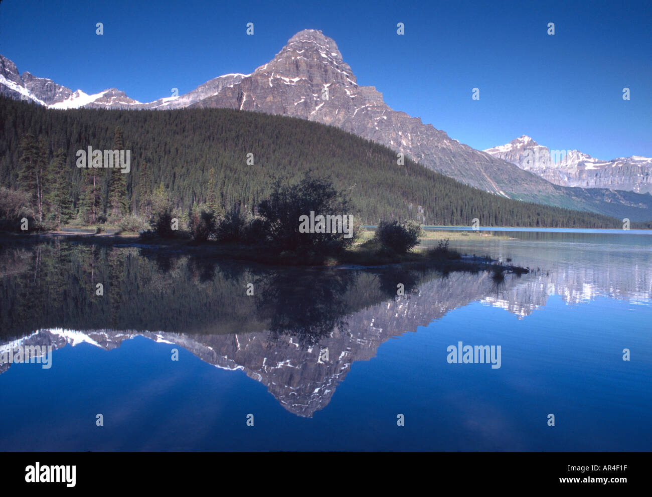 Fiume Mistaya Waterfowl Lago e Monte Chephren e di riflessione del Parco Nazionale di Jasper Alberta Canada Foto Stock