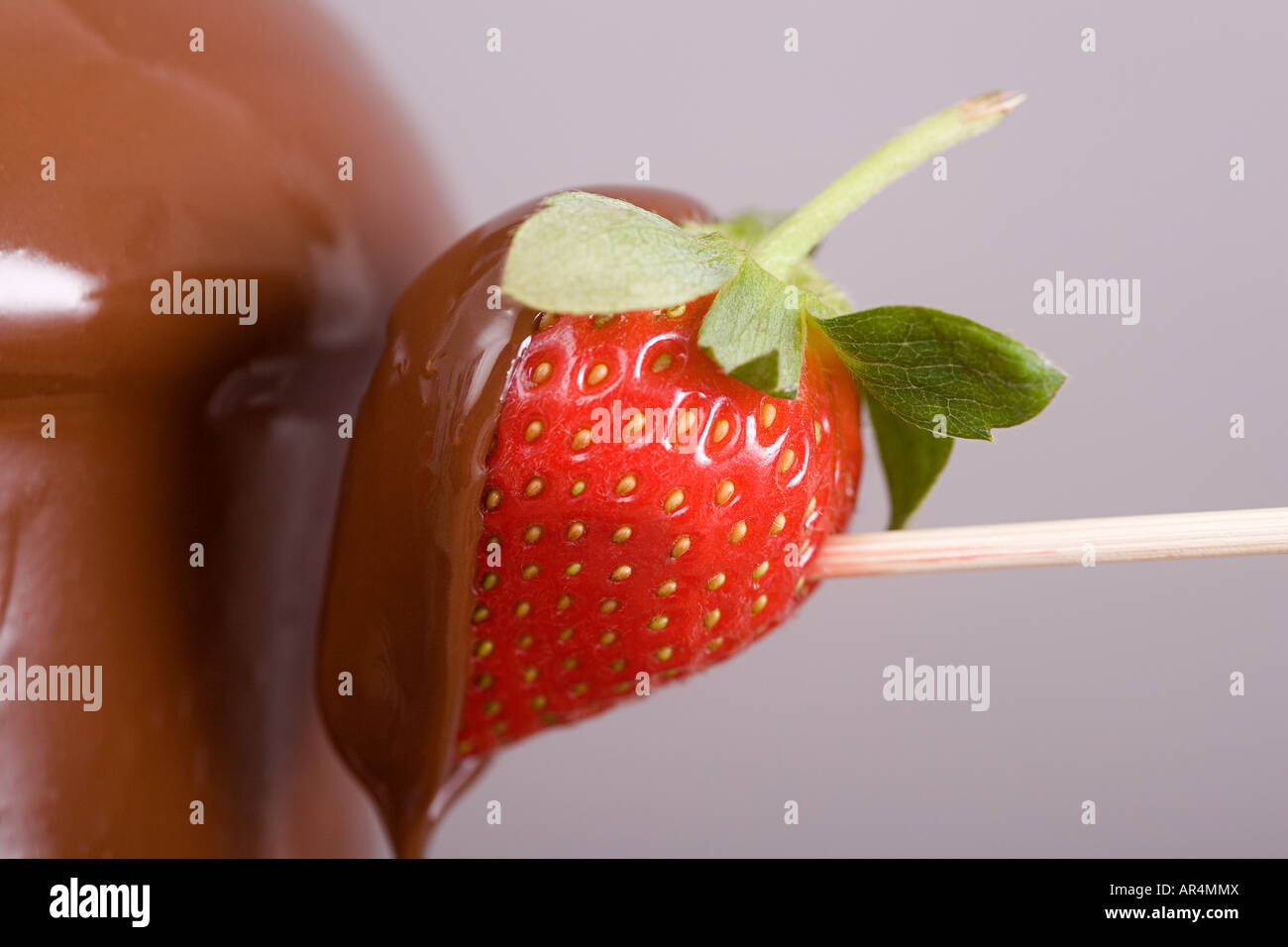 Una fragola ricoperta di cioccolato Foto Stock