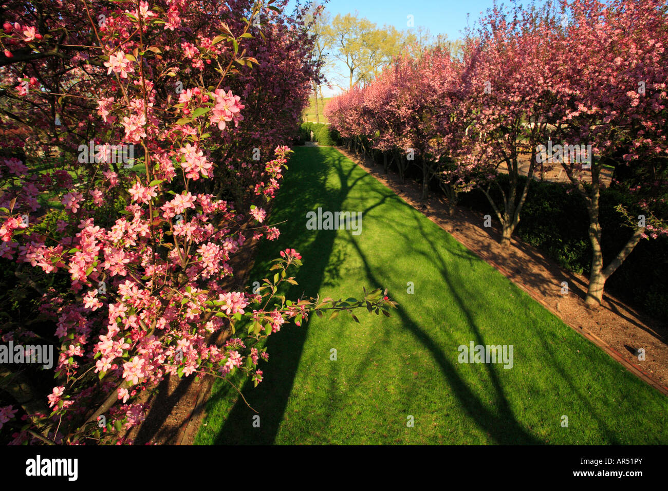 Grand Allee e Glen Burnie, Winchester, Shenandoah Valley, Virginia, Stati Uniti d'America Foto Stock