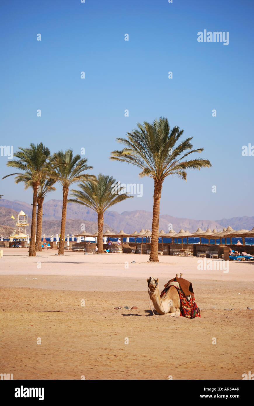 Vista sulla spiaggia, Hotel Sofitel Taba Heights, Taba Heights, Penisola del Sinai, Repubblica d'Egitto Foto Stock