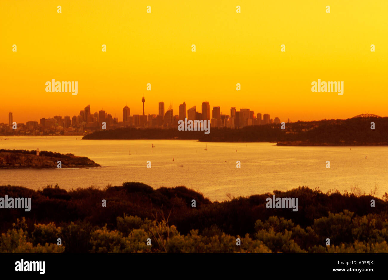 Vista di Sydney dello skyline della città e porto dalla testa del Nord Foto Stock