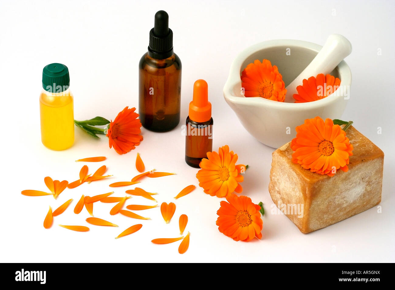 Prodotti alla calendula Calendula officinalis Foto Stock