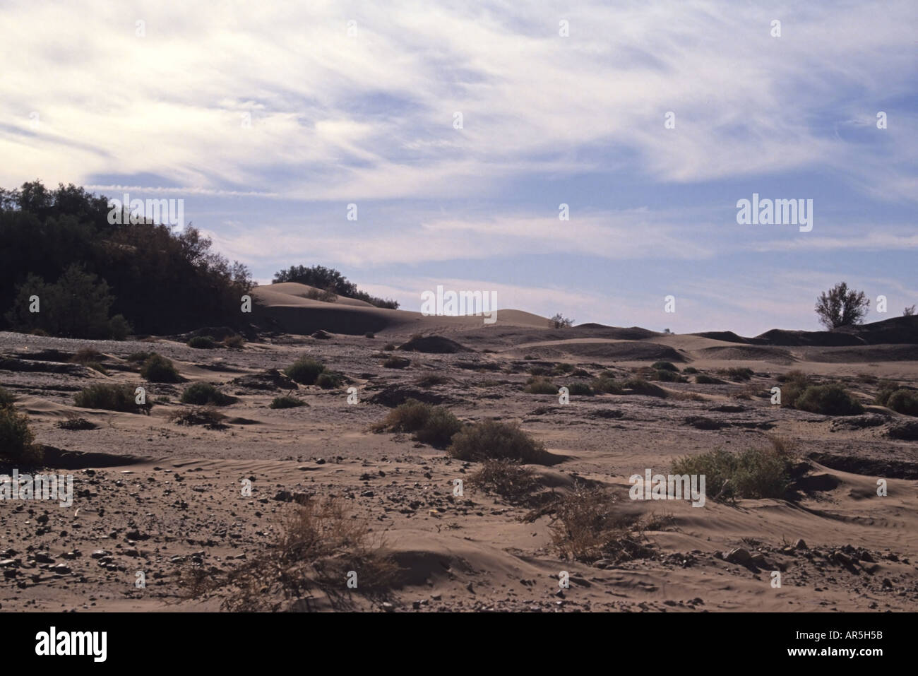 Spazzola e cielo blu nel deserto del Marocco Foto Stock