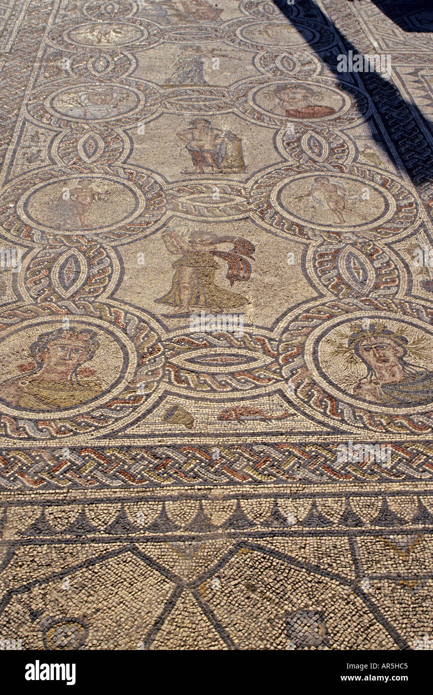 Un mosaico di rovine Romane di Volubilis vicino a Meknes Marocco Foto Stock