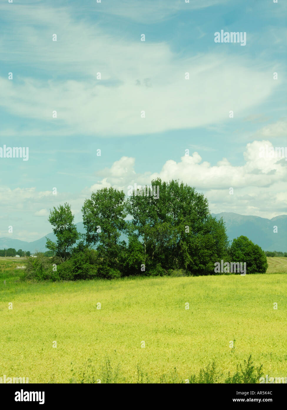 Montana paesaggio panoramico, STATI UNITI D'AMERICA Foto Stock