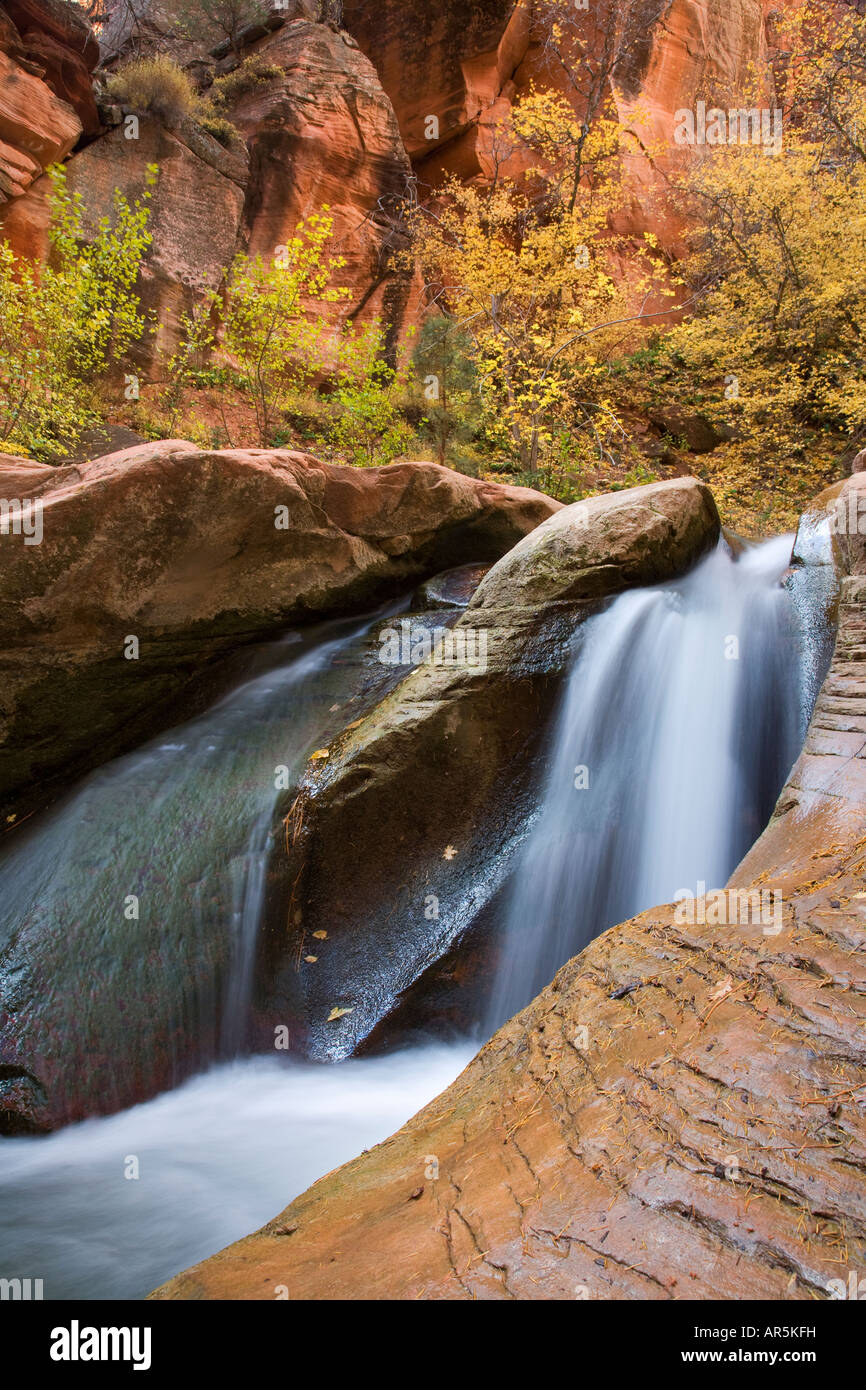 Un flusso e una piccola cascata in prossimità di Zion National Park nello Utah Foto Stock
