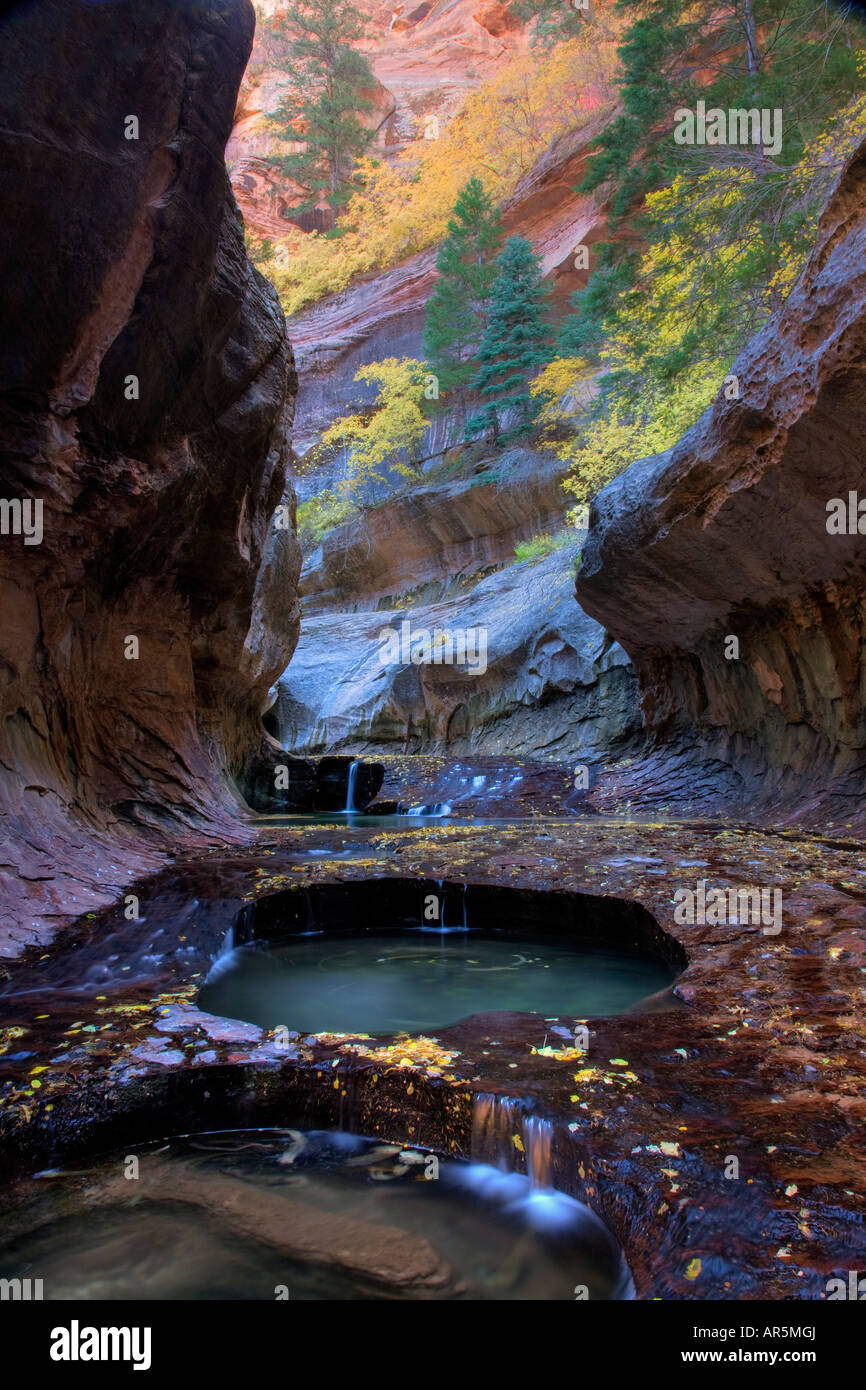 La metropolitana della porzione sinistra a forcella di North Creek Zion National Park nello Utah Foto Stock
