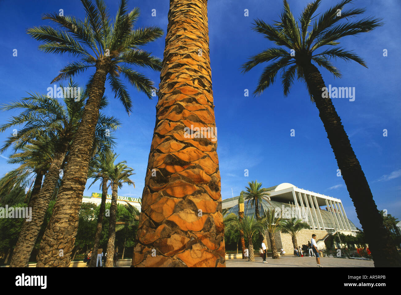 Il palazzo della musica, il Palacio de la Musica, Cauce del Rio Turia, Valencia, Spagna Foto Stock