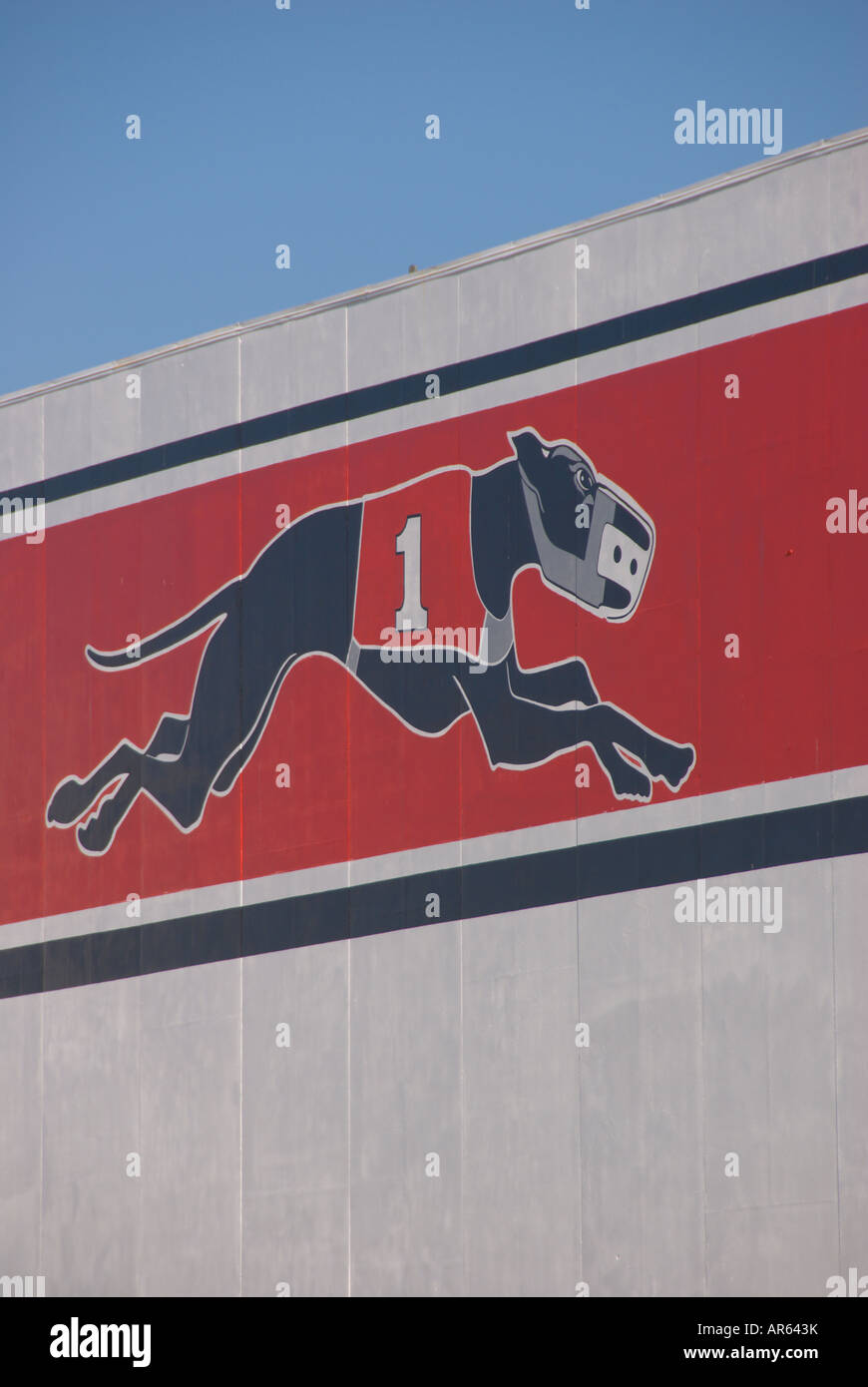 Sarasota Kennel Club Florida Greyhound Racing cane via racing parimutuel betting pari-mutuel scommessa di gioco d'azzardo Foto Stock