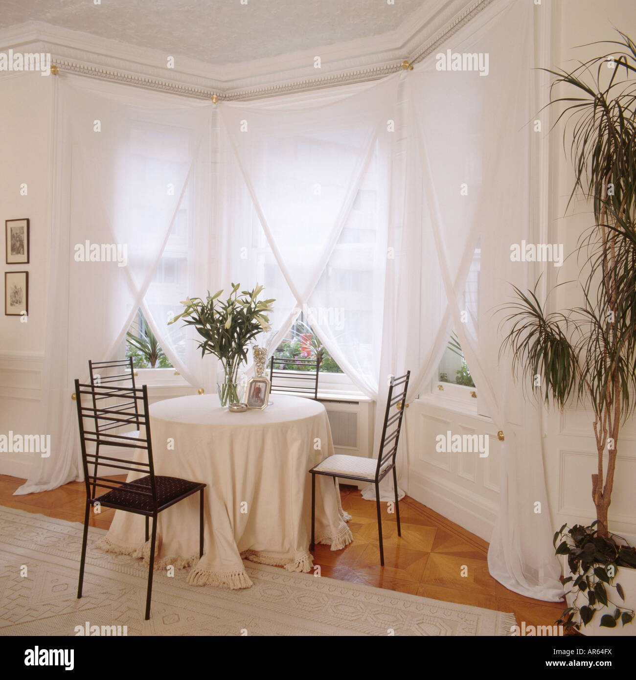 Tovaglia bianca e nera sedie in metallo nella parte anteriore della finestra con bianco tende di voile bianco in sala da pranzo con Dracaena Foto Stock