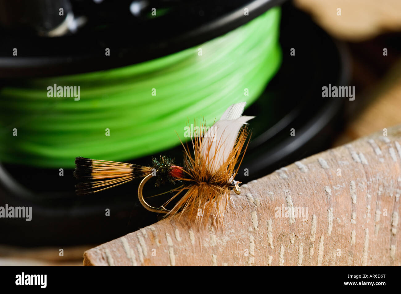 Royal Coachman Dry Fly con aspo e Fly Line dietro Foto Stock