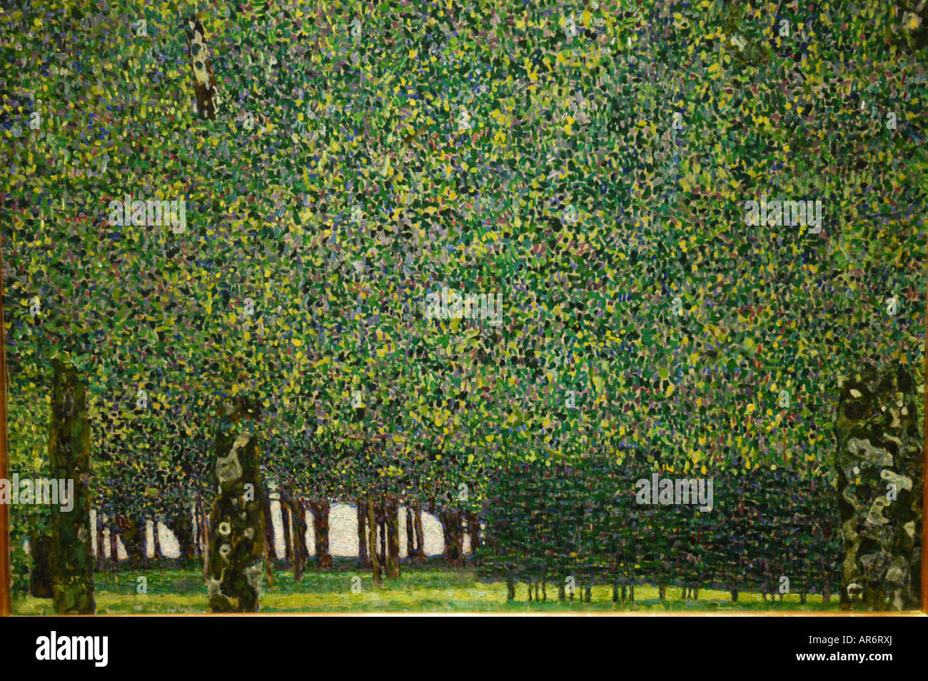 Il parco di Gustav Klimt il Museo di Arte Moderna di New York STATI UNITI D'AMERICA Foto Stock