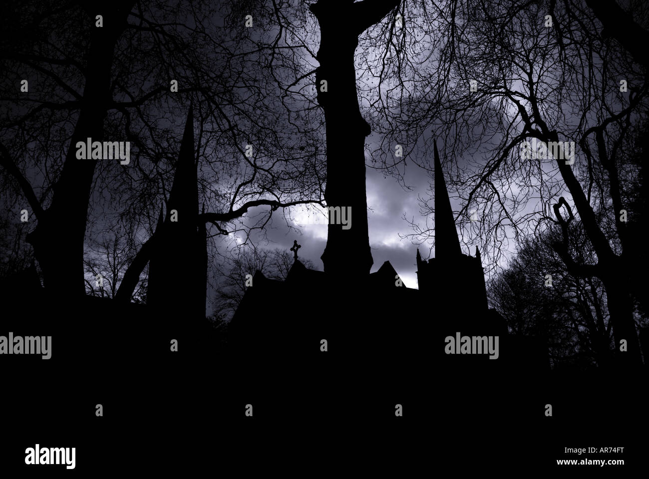 Guglie della chiesa al crepuscolo attraverso gli alberi Foto Stock