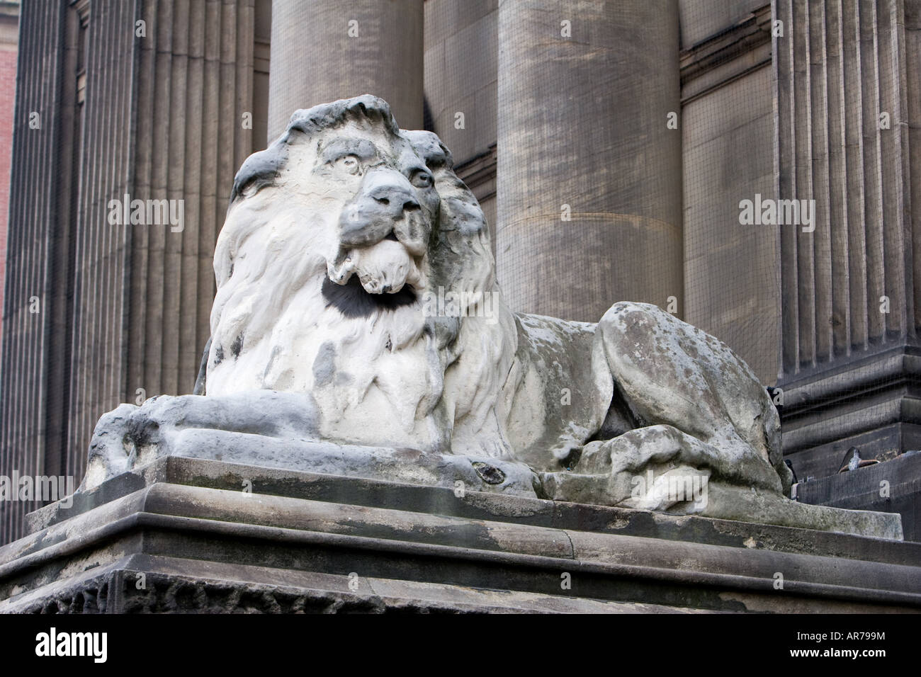 Un weathered leone di pietra al di fuori di Leeds City Hall a Leeds Regno Unito 12 Dicembre 2007 Foto Stock