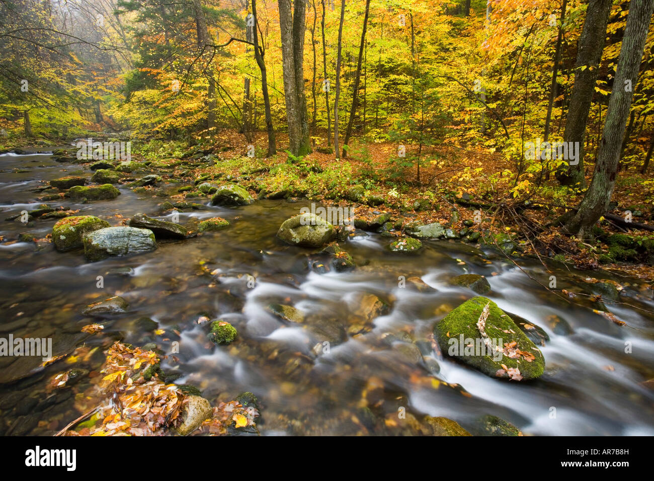 Sanderson Brook. Stato Chester-Blanford foresta. Fiume Connecticut tributario. Chester, Massachusetts. Foto Stock