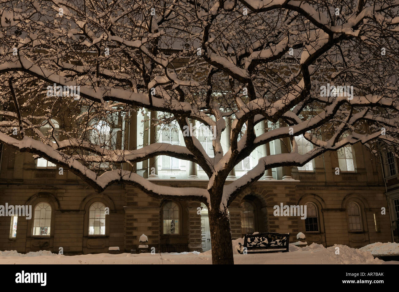 Coperta di neve albero davanti Osgoode Hall Law Society e la corte di appello di Toronto Ala centrale Foto Stock