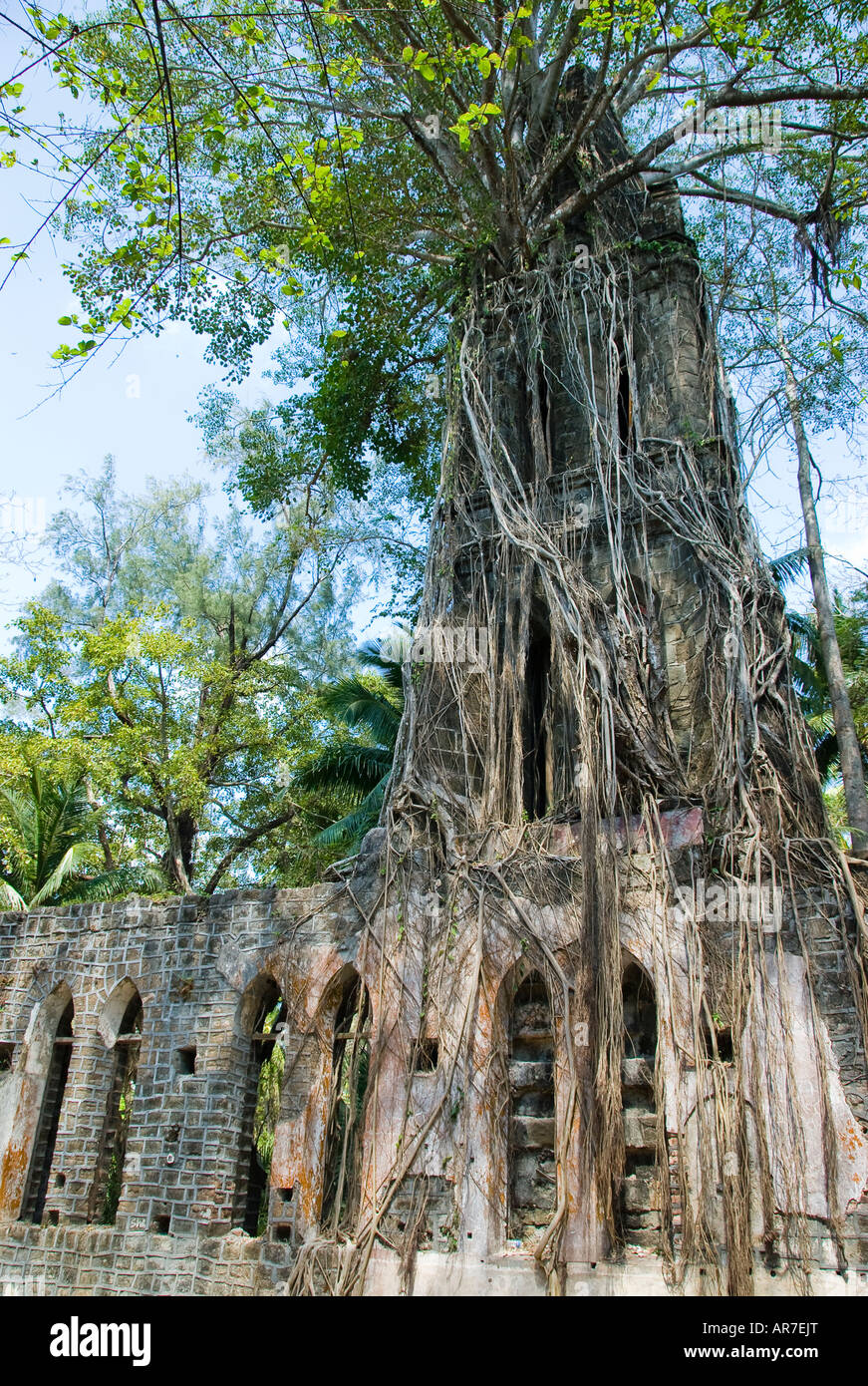 Vecchio stile coloniale Britannico chiesa torre su Ross isola ricoperta da alberi nelle isole Andamane India Foto Stock