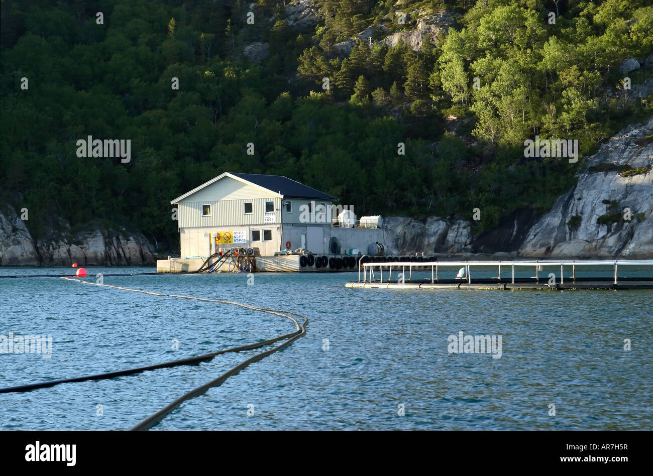 Pontile galleggiante e la fattoria di pesce penne all ingresso del fiordo Norvegia Foto Stock