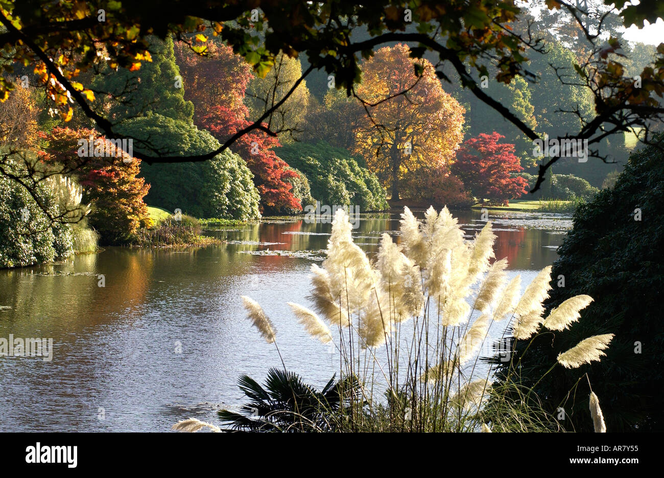 Foto di Roger Bamber 28 ottobre 2005 Alberi in Sheffield Park vicino a Haywards Heath East Sussex cambiano colore in autunno Foto Stock