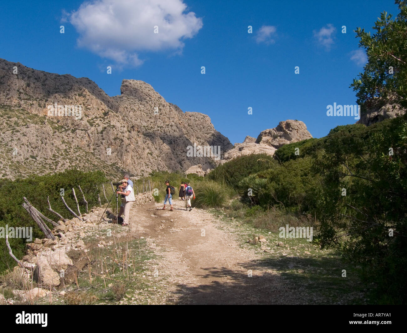 Gli escursionisti e gli amanti del birdwatching nella valle Boquer vicino a Port de Pollenca Foto Stock
