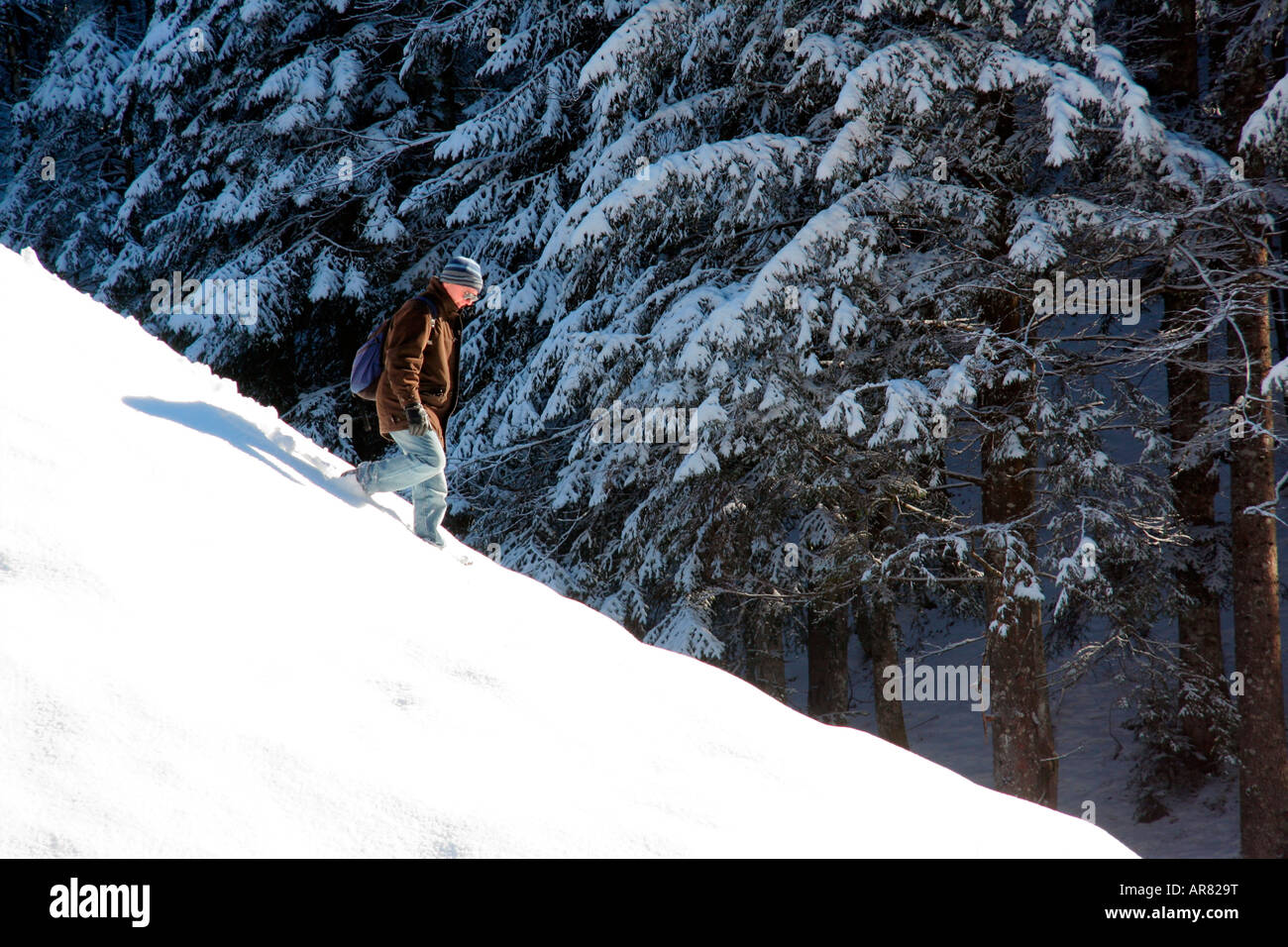 Percorrendo a piedi la collina snowcovered Steinbachtal vicino Lenggries Baviera Germania Europa Foto Stock