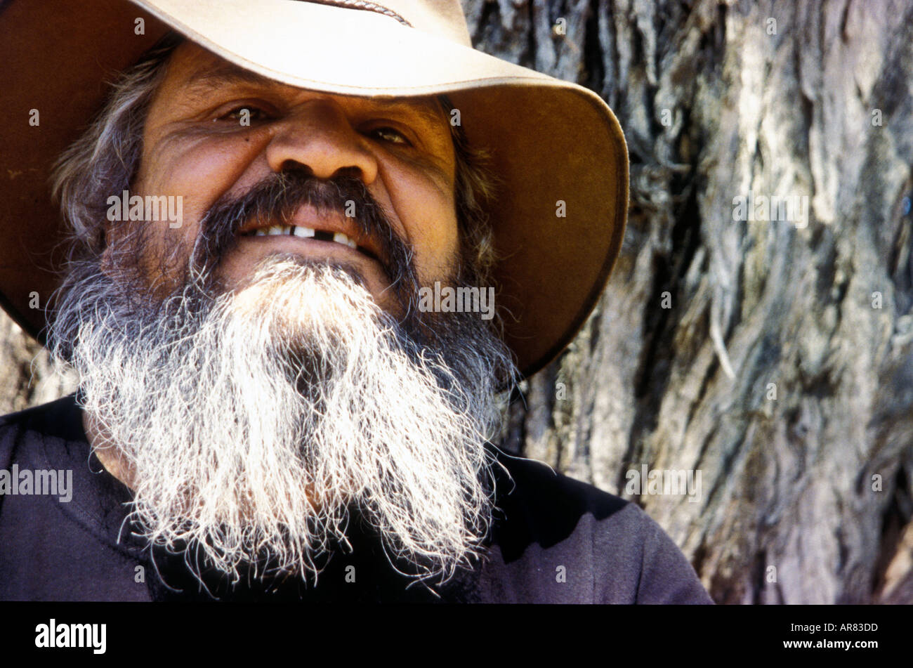 Il sambuco di Iga Warta comunità nel nord Flinders Ranges Australia del Sud Foto Stock