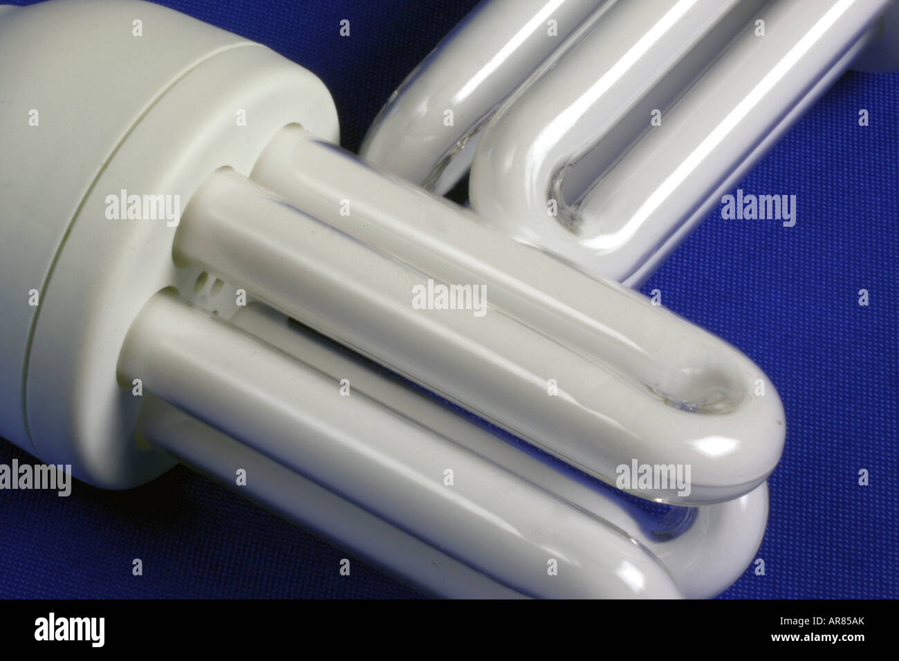 Lampadine a basso consumo su uno sfondo blu Foto Stock