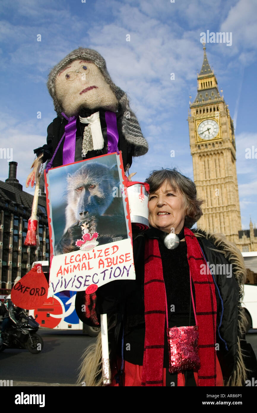 Messa Lone dimostrazione in piazza del Parlamento, Londra Foto Stock