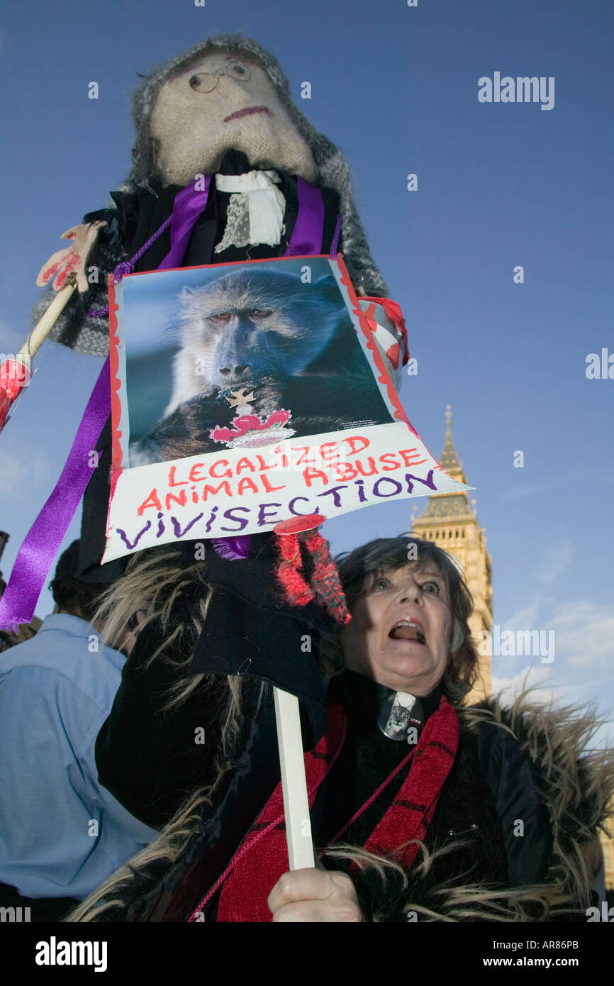 Messa Lone dimostrazione in piazza del Parlamento, London, England, Regno Unito Foto Stock