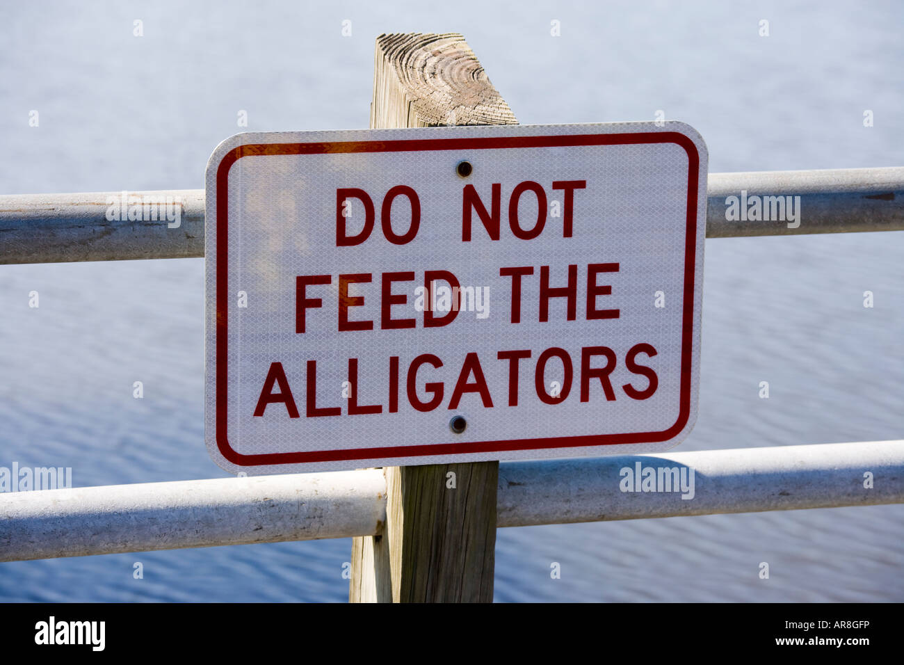 Segno non alimentare il alligatori. Georgetown Marina South Carolina USA Foto Stock