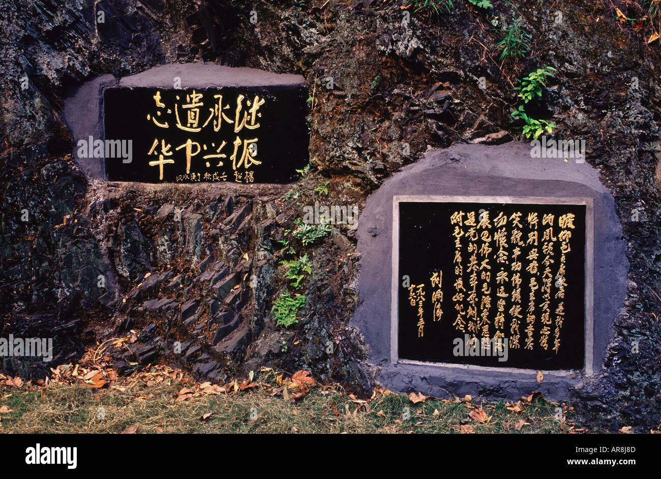 Tavolette di pietra incise con poesie Mao Zedong nella foresta di poesia di Mao Zedong di Steles nella vetta di Shao vicino alla città di Shaoshan nella provincia di Hunan Cina Foto Stock