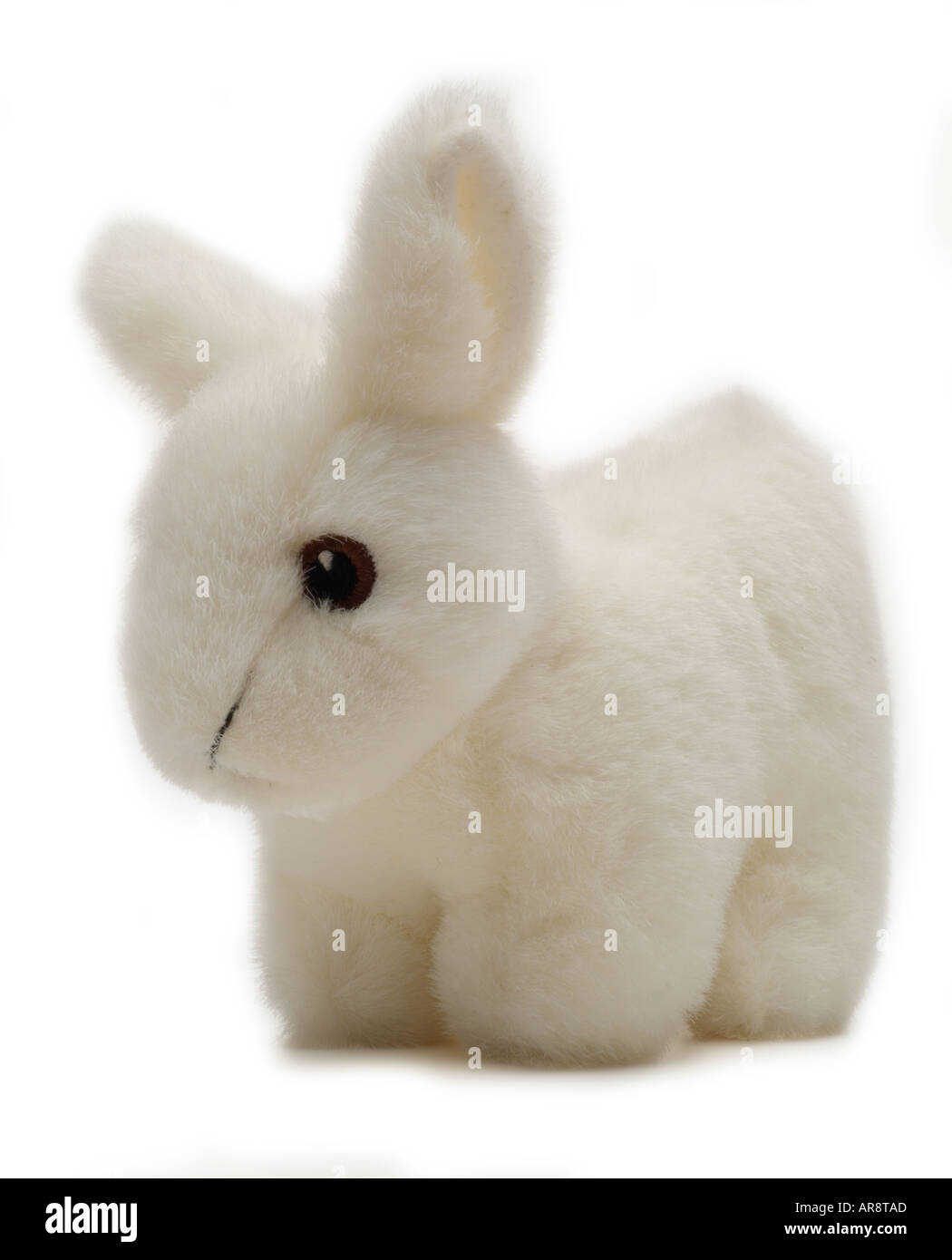 Giocattolo morbido baby orso coniglio animale figura cartoon England Regno Unito Regno Unito GB Gran Bretagna UE Unione europea EUROPA Foto Stock