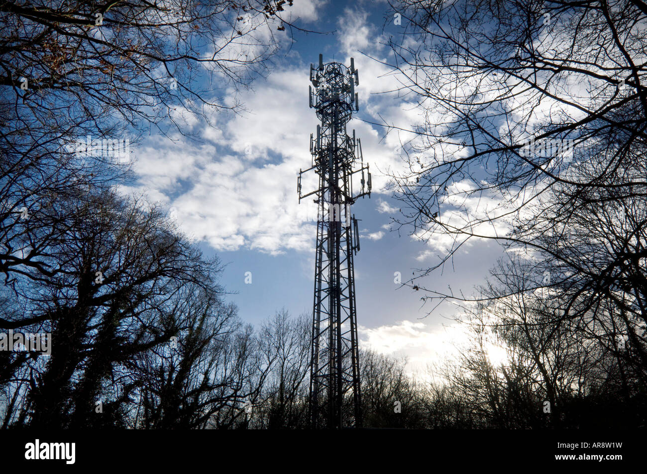 Un telefono cellulare il montante nel bosco in verde Glossops Crawley West Sussex Foto Stock