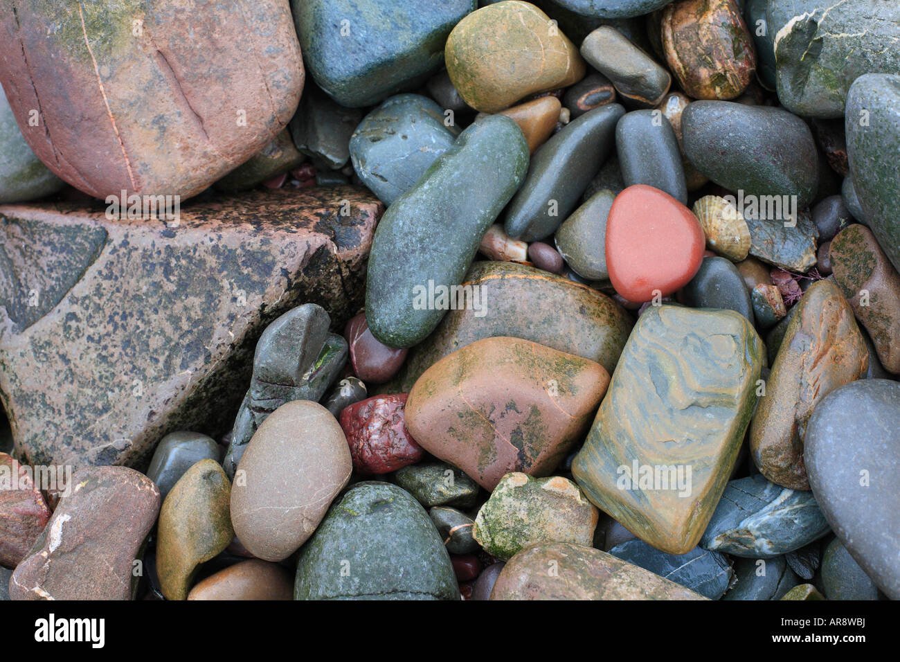 Ciottoli colorati su una spiaggia scozzese.. Foto Stock