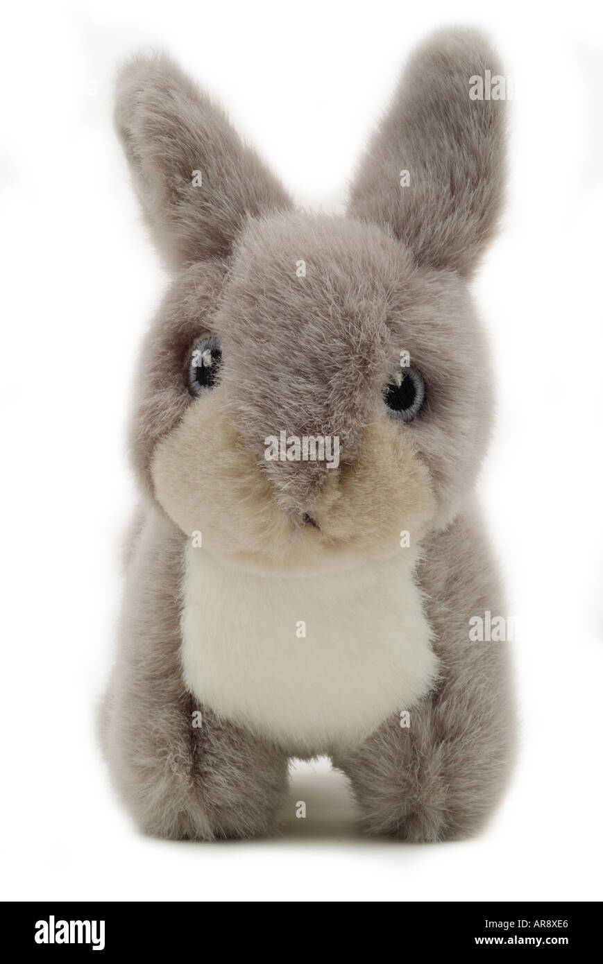 Giocattolo morbido grigio baby orso coniglio animale figura cartoon England Regno Unito Regno Unito GB Gran Bretagna UE Unione europea EUROPA Foto Stock