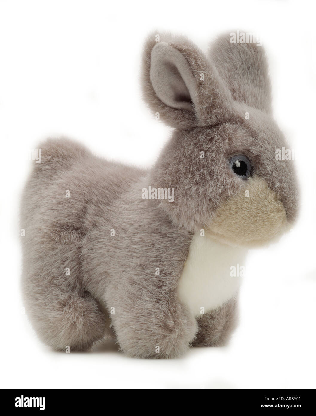 Giocattolo morbido grigio baby orso coniglio animale figura cartoon England Regno Unito Regno Unito GB Gran Bretagna UE Unione europea EUROPA Foto Stock