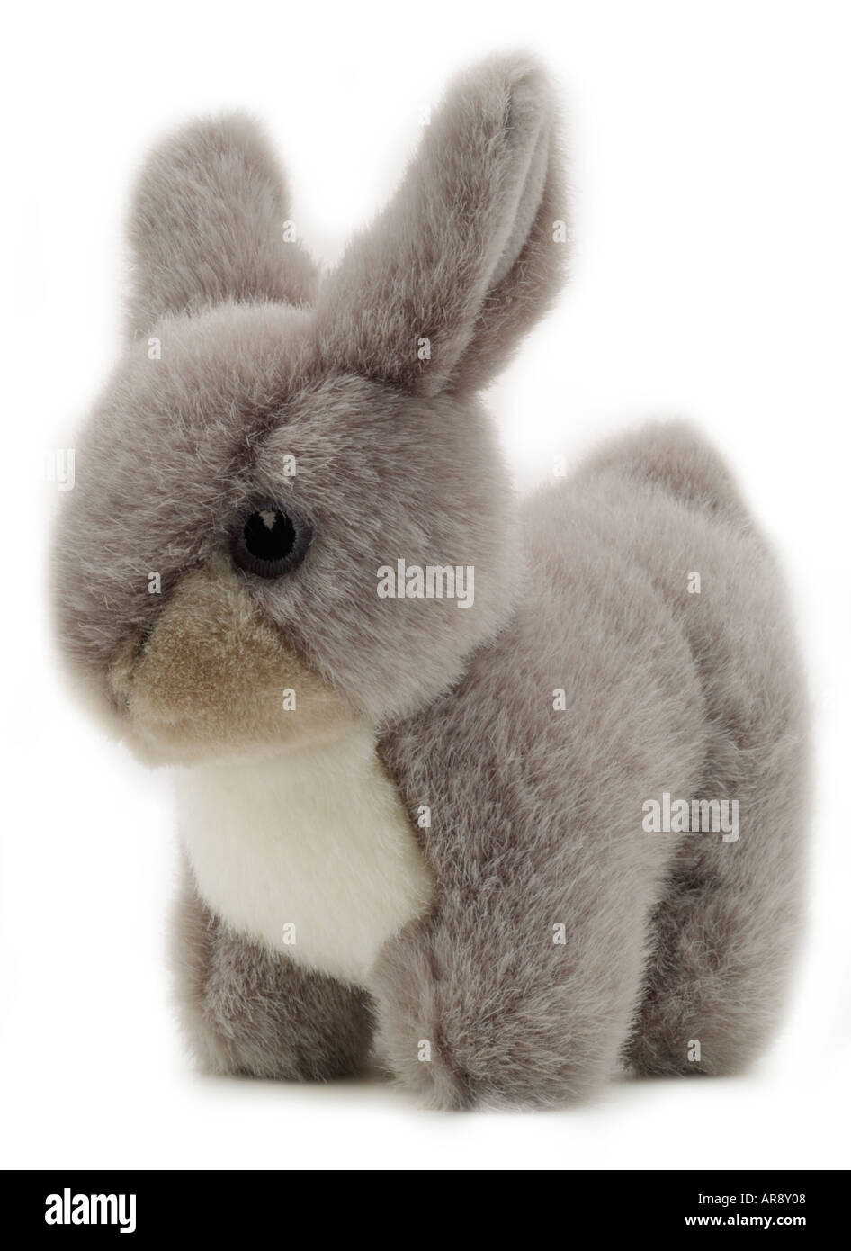 Giocattolo morbido grigio baby orso coniglio animale figura cartoon England Regno Unito Regno Unito GB Gran Bretagna UE Unione europea EUROPA Foto Stock