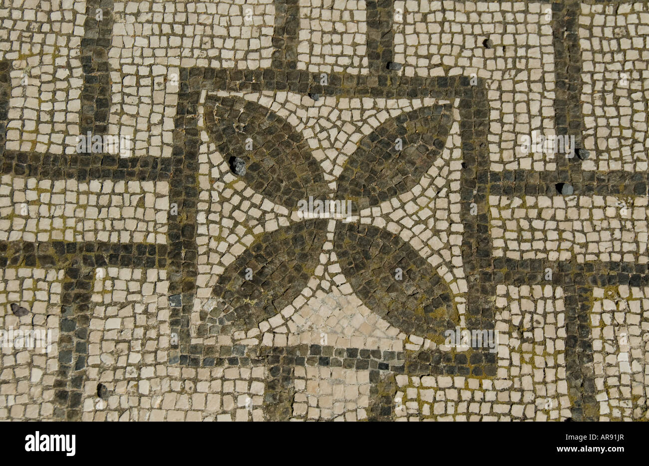 Piastrella mosaico, Pompei Foto Stock