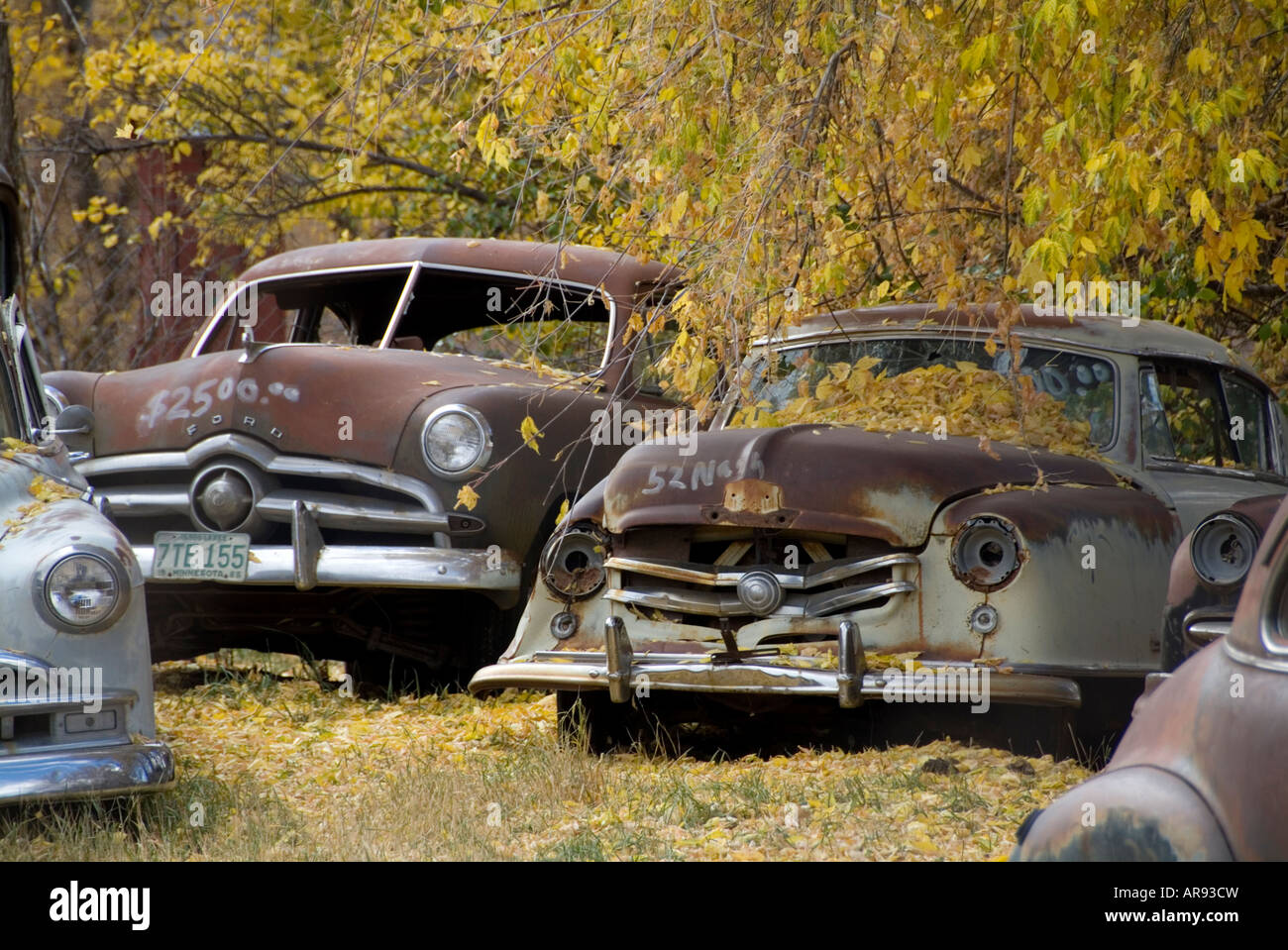 Classic Car Junk Yard rottami retrò anni cinquanta 1950 vecchio Foto Stock