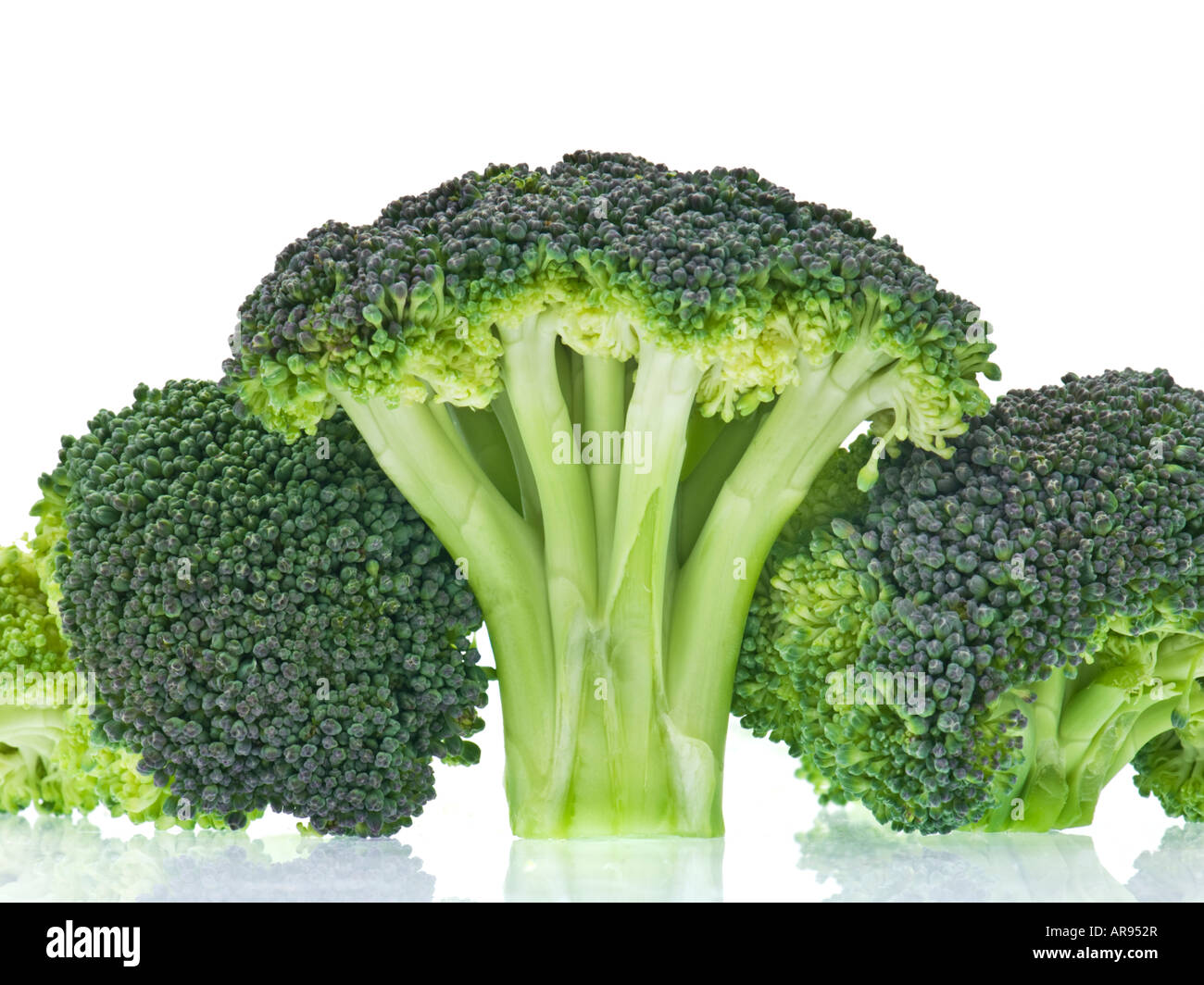 Brokkoli germoglio di broccoli unico Foto Stock