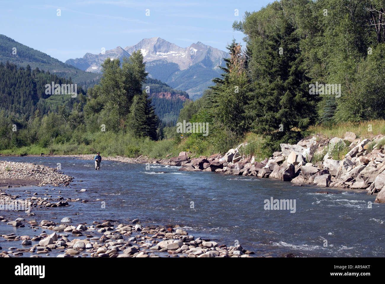 Pesca a mosca nel fiume di cristallo Roaring Fork Valley in Colorado Foto  stock - Alamy