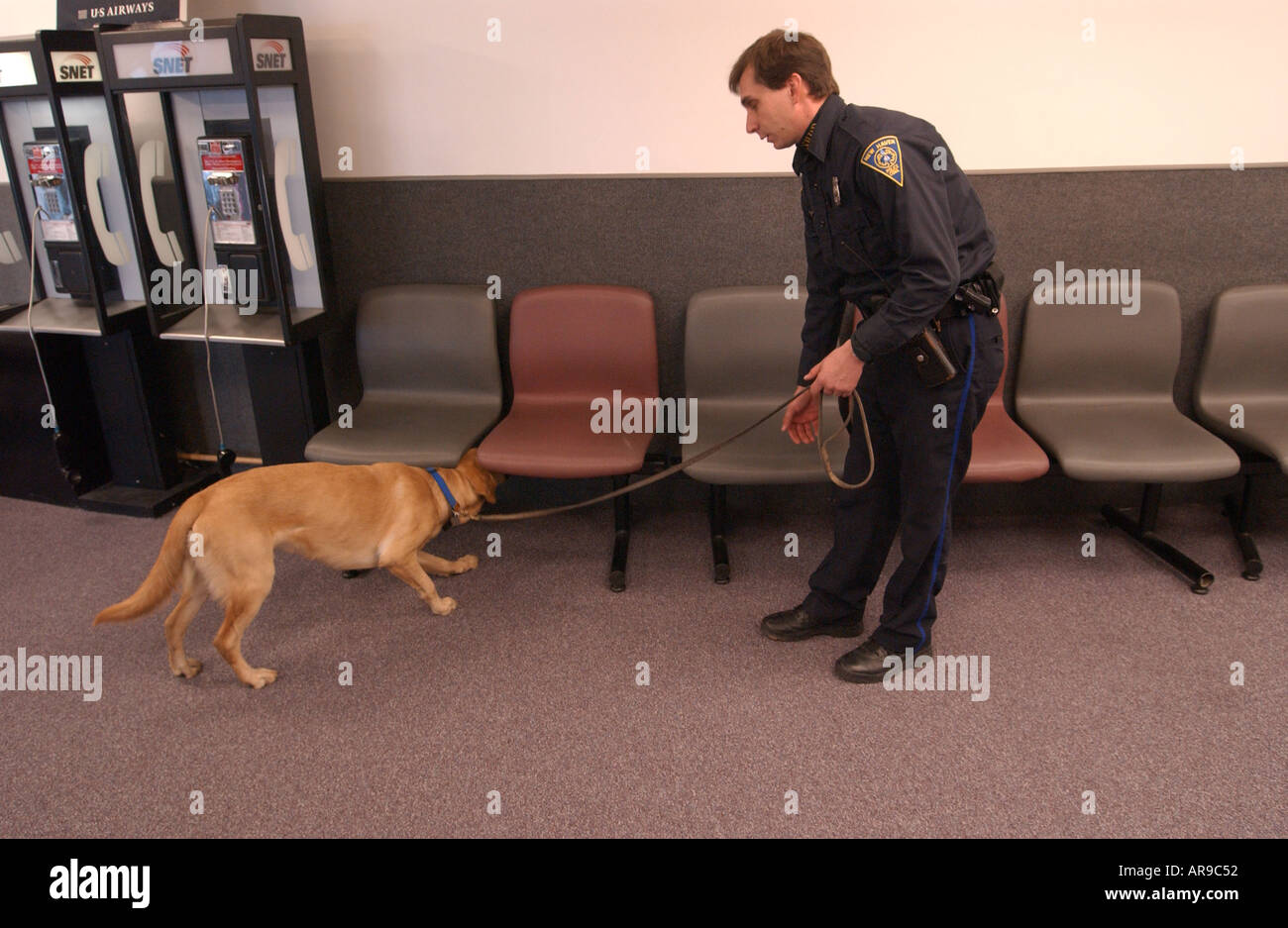 Bomba lo sniffing del cane nella ricerca in un aeroporto Foto Stock