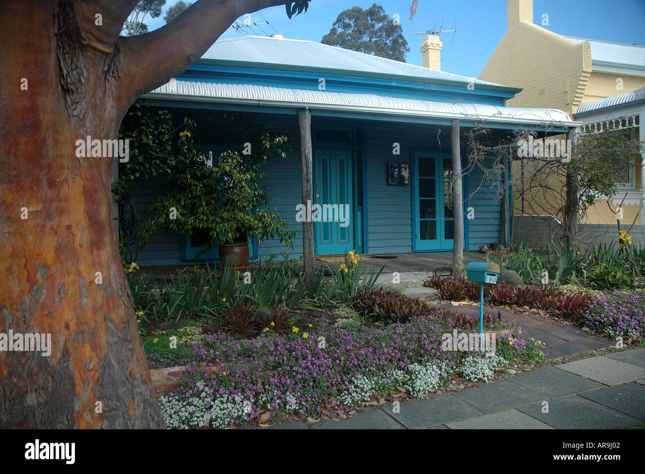 Case dipinte in colori di moda nel quartiere alla moda di rinnovato sobborgo di Subiaco Perth Western Australia Foto Stock