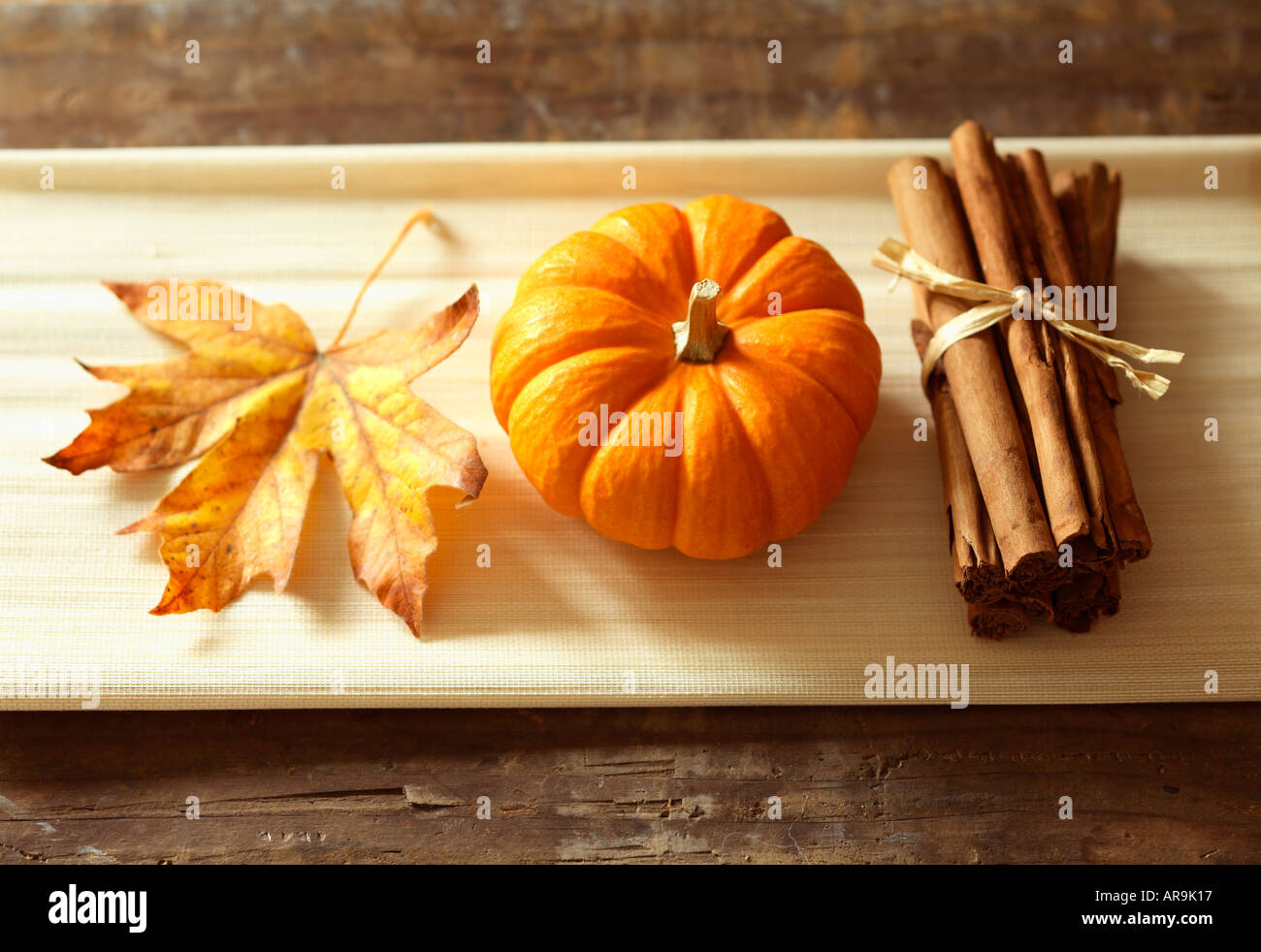 Rientrano ancora in vita con mini zucca cannella e Foglia di acero Foto Stock