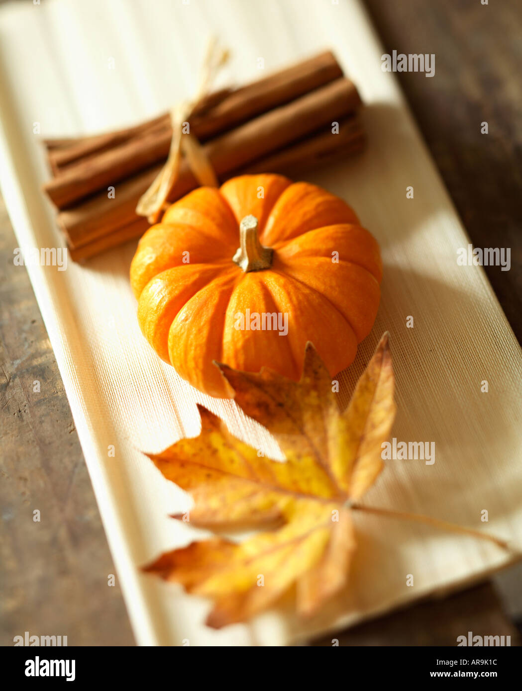 Rientrano ancora in vita con mini zucca cannella e Foglia di acero Foto Stock