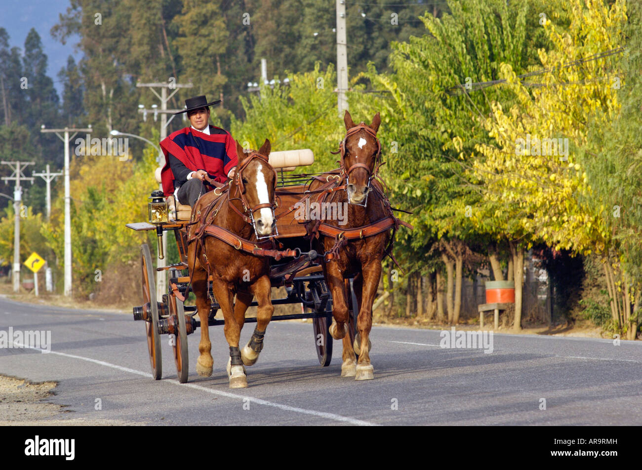 Cavalli e carrello Valle Colchagua Cile Foto Stock