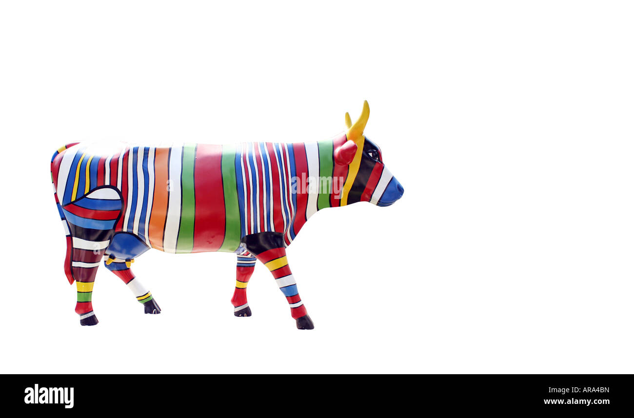 Vacca multicolore isolato su bianco Foto Stock