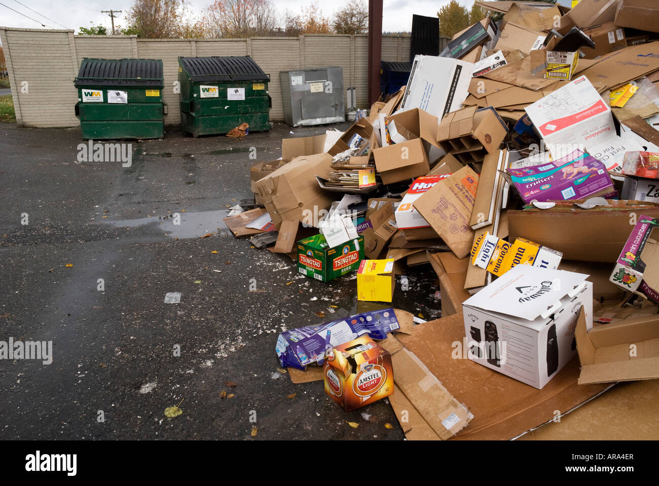 Cestino per il dump e il sito di riciclaggio Issaquah Washington Foto Stock