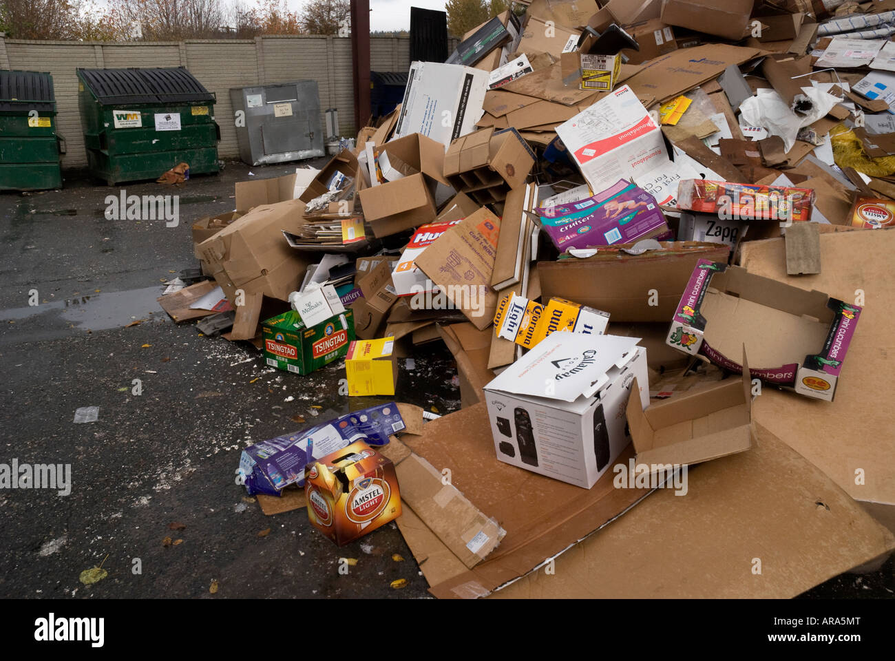 Cestino per il dump e il sito di riciclaggio Issaquah Washington Foto Stock